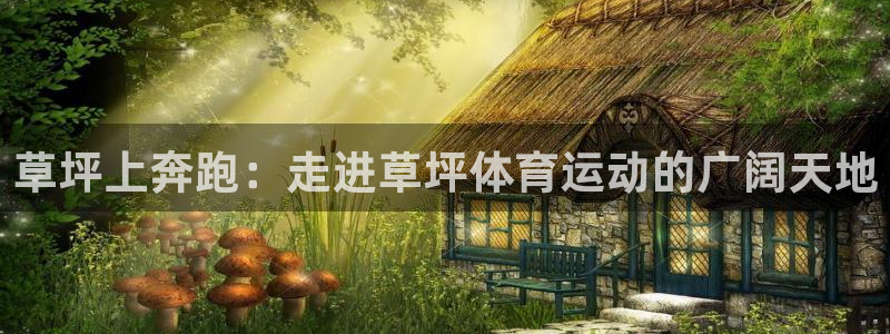 雷鸟体育APP下：草坪上奔跑：走进草坪体育运动的广阔天地