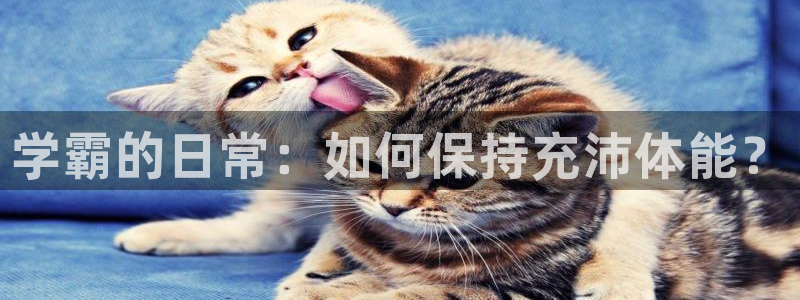 雷鸟体育免费下载：学霸的日常：如何保持充沛体能？