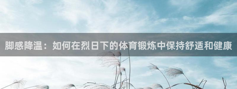 雷鸟体育：脚感降温：如何在烈日下的体育锻炼中保持舒适和健康