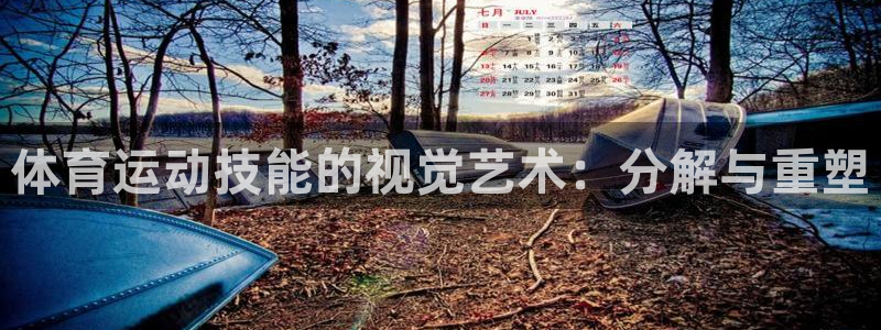 雷鸟体育官网入口：体育运动技能的视觉艺术：分解与重塑