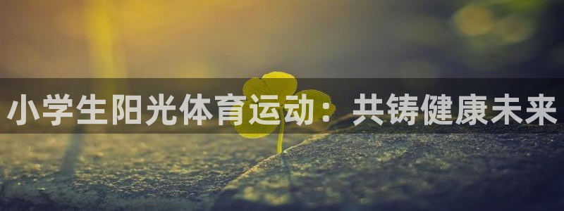 雷鸟体育cba：小学生阳光体育运动：共铸健康未来