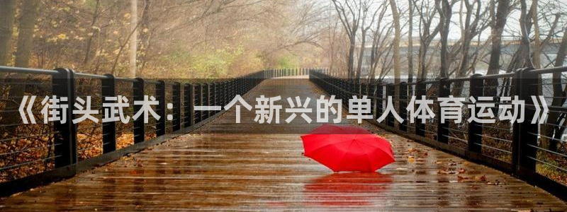 雷鸟体育官网入口：《街头武术：一个新兴的单人体育运动》