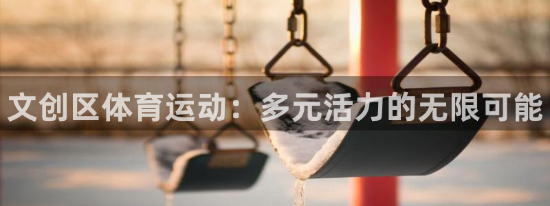 雷鸟体育ios官网入口：文创区体育运动：多元活力的无限可能